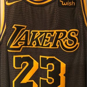 Lakers Lebron James
